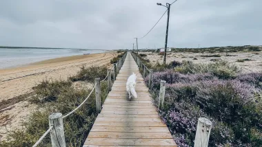 Faro - historia i atrakcje stolicy regionu Algarve!