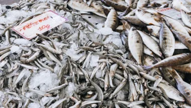 Loulé, Co Warto Zobaczyć? Odkrywaj Algarve