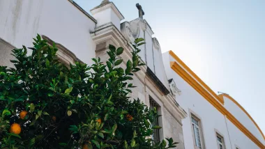 Loulé, Co Warto Zobaczyć? Odkrywaj Algarve