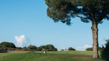 Faro - Historia I Atrakcje Stolicy Regionu Algarve!