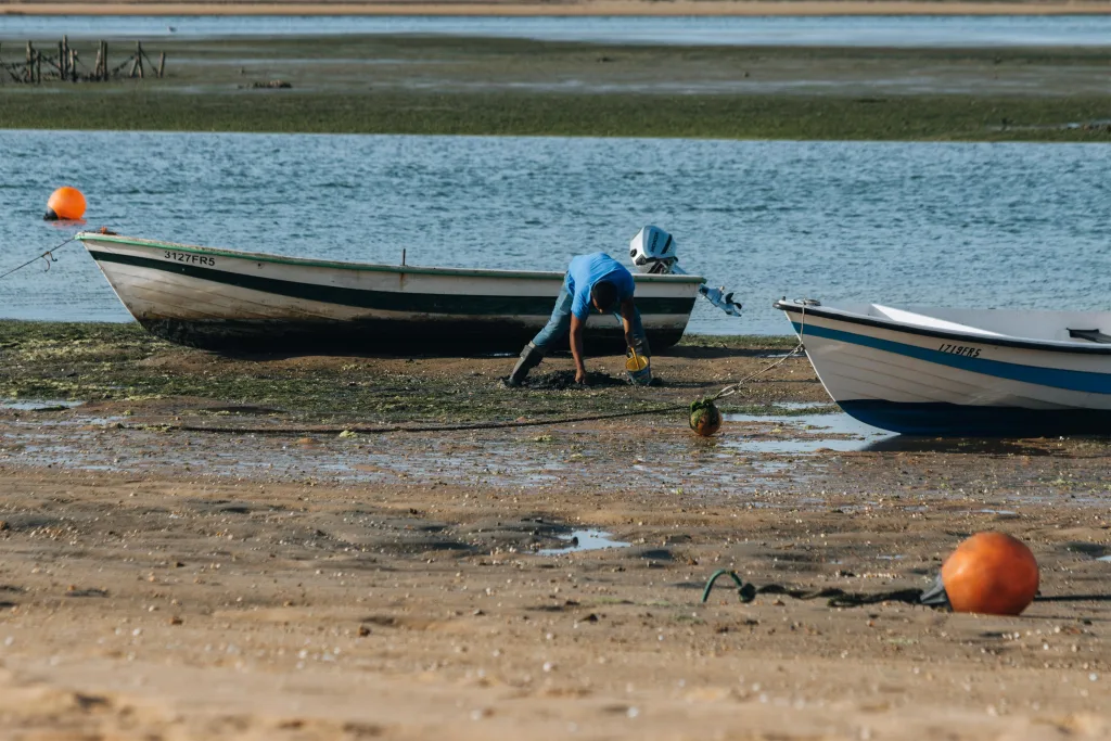 Ria Formosa - laguna Algarve