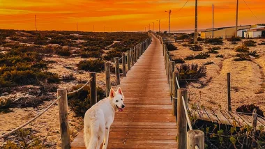 Faro - historia i atrakcje stolicy regionu Algarve!