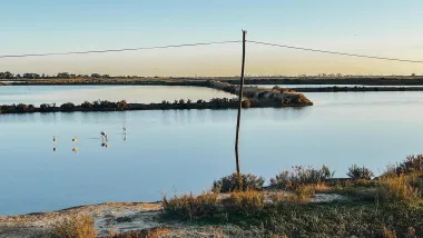Faro - Historia I Atrakcje Stolicy Regionu Algarve!