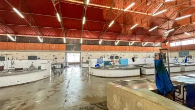 Olhão - Brama Ria Formosa