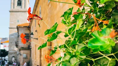 Santiago De Compostela, Szlak Św. Jakuba, Historia I Opis Atrakcji Miasta, Santiago De Compostela, St. James Route, History And Description Of The City'S Attractions