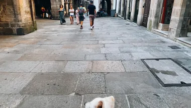 Santiago De Compostela, Szlak Św. Jakuba, Historia I Opis Atrakcji Miasta, Santiago De Compostela, St. James Route, History And Description Of The City'S Attractions