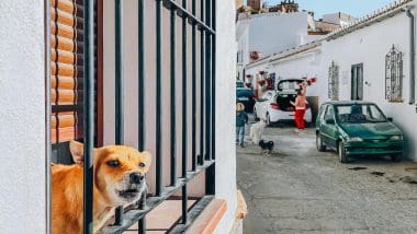 Alora, białe miasteczko na uboczu turystycznego szlaku Andaluzji