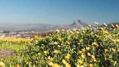 Antequera - malownicze miasto w Andaluzji, pełne historycznych zabytków