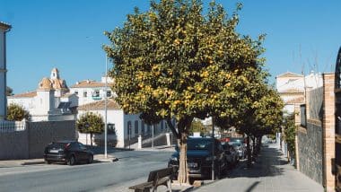 Antequera - malownicze miasto w Andaluzji, pełne historycznych zabytków