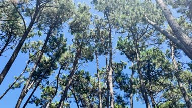 Wyspa Arousa. Piękno hiszpańskiej północy