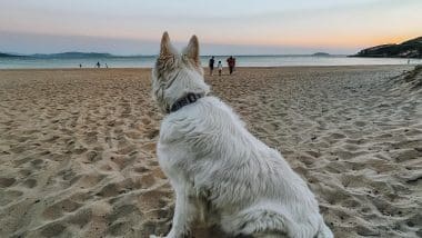 Kempingi W Hiszpanii. Kemping Rías Baixas - Galicja